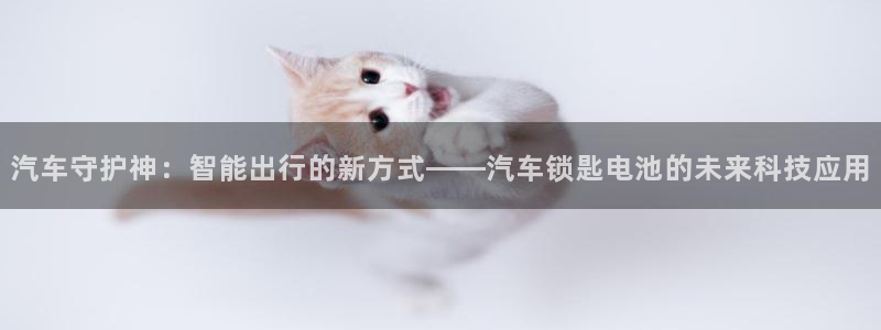 优发国际平台u8是什么软件：汽车守护神：智能出行的新方式——汽车锁匙电池的未来科技应用